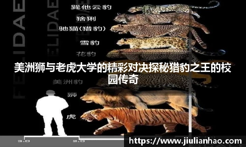 永利集团3044am